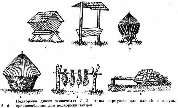 Реши задачу для подкормки животных. Кормушка для косули бтс тип 1. кормушки для диких животных в лесу. кормушки для диких животных зимой. кормушка для косули.