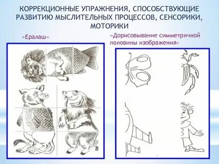 Коррекционные занятия познавательного развития