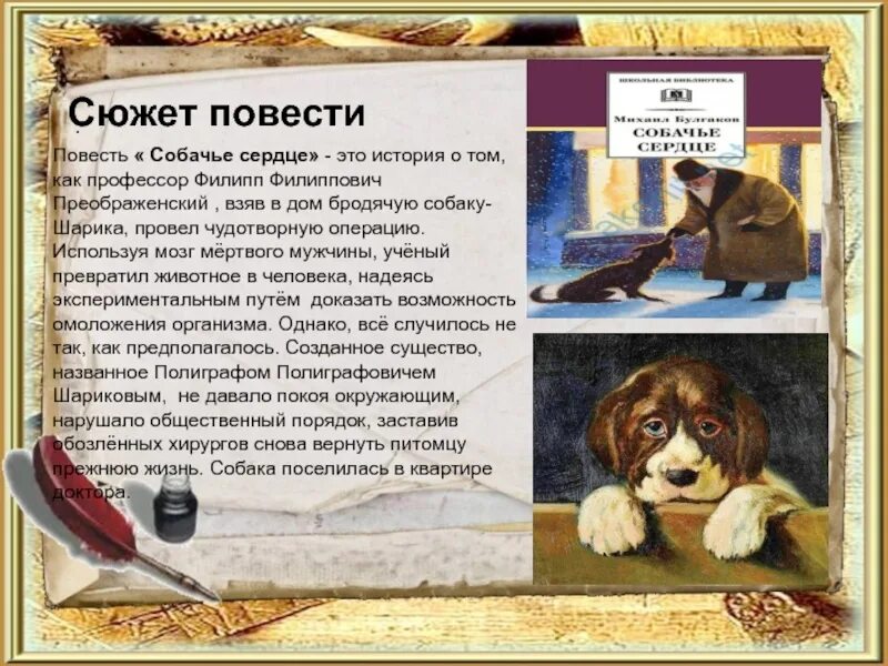 Текст книга сюжет. Сюжет Булгакова Собачье сердце кратко. Собачье сердце краткое содержание. Булгаков Собачье сердце краткое содержание.