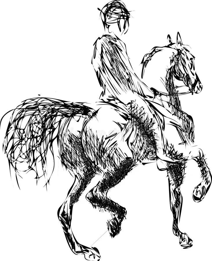 Конь с наездником в одном. Всадник над барьером. Наездничество иллюстрации. Всадник карандашом. Всадники седлают лошадей.