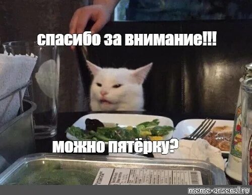 Спасибо за внимание Мем соктом. Спасибо за внимание котик. Внимание спасибо за внимание Мем кот. Спасибо за внимание для презентации с котиком.