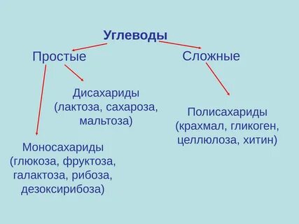 Глюкоза лактоза целлюлоза относятся к