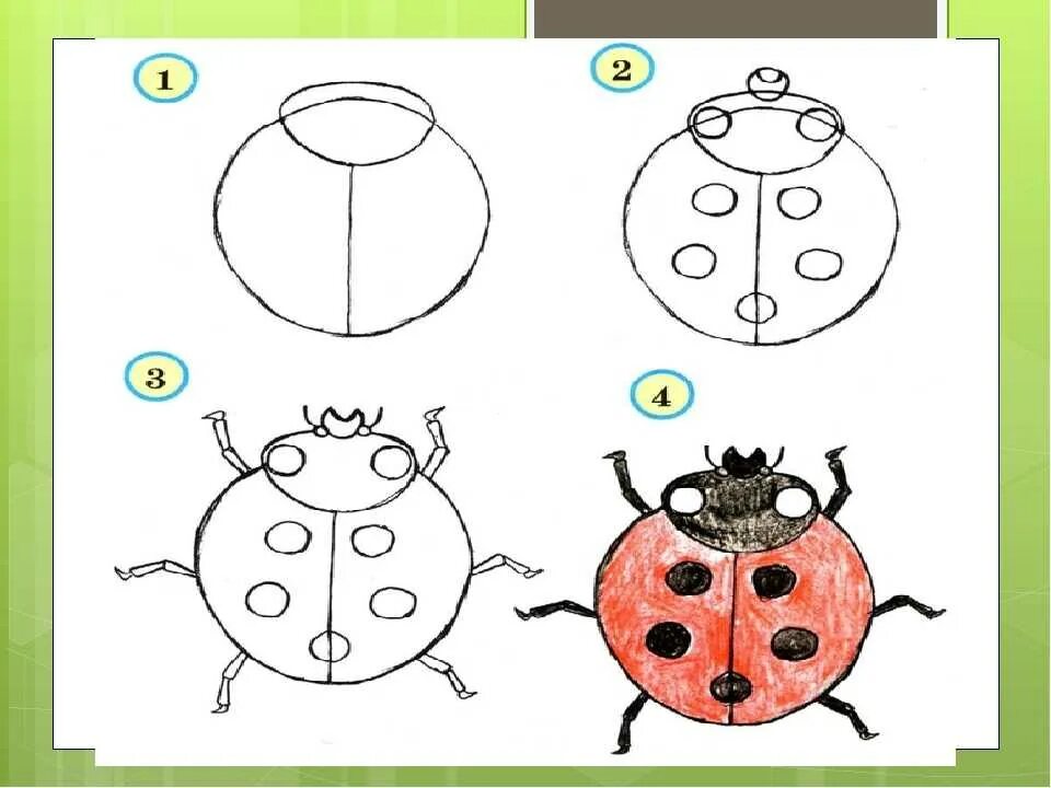 Урок изо 1 класс презентация поэтапное рисование. Рисование Божья коровка. Рисование 1 класс. Божья коровка рисунок для детей. Рисование Божья коровка подготовительная группа.