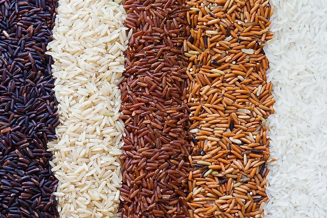 Much rice. Сорта риса. Коричневый рис. Коричневый и бурый рис. Разные сорта риса.