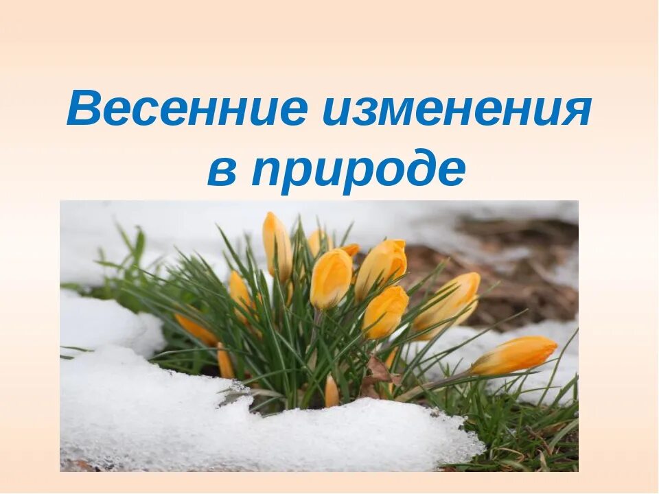 Примеры весенних явлений живой природы 2 класс. Изменения в природе весной. Весенние изменения в природе. Природные явления весны.