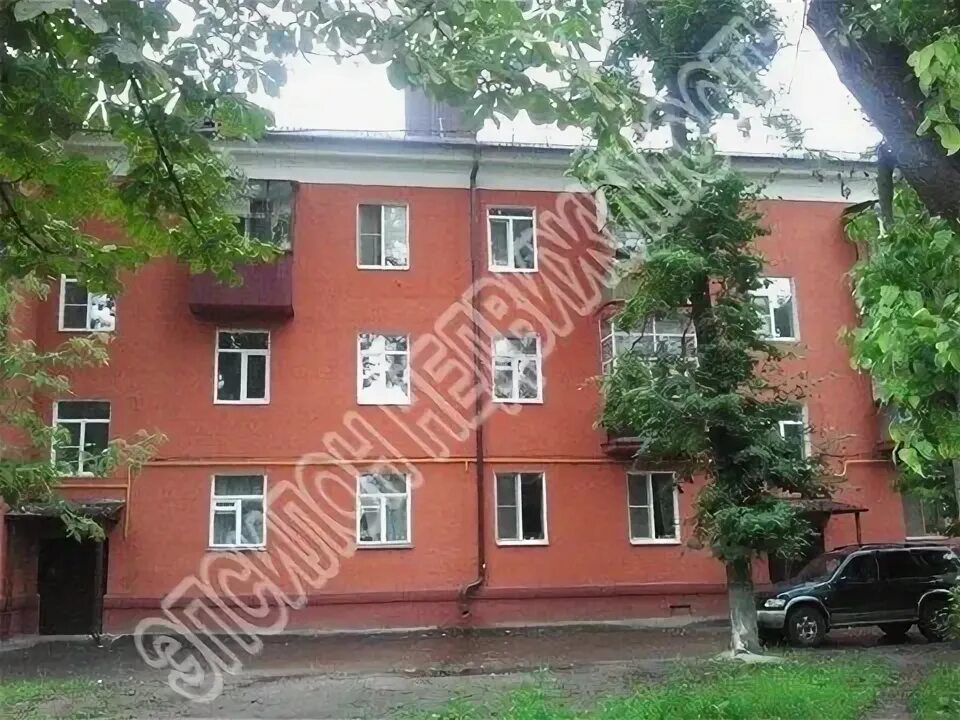 В центре Курска на женщину на остановке рухнула береза