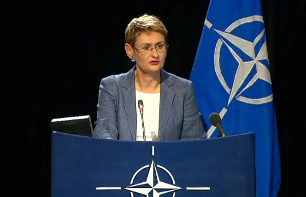 Нато отреагировало. Оана Лунгеску НАТО. Пресс секретарь НАТО. Представители НАТО.