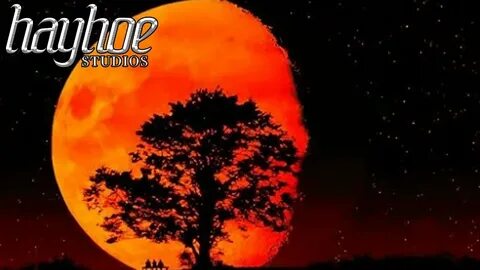 Каждое утро солнце всходило багровым шаром