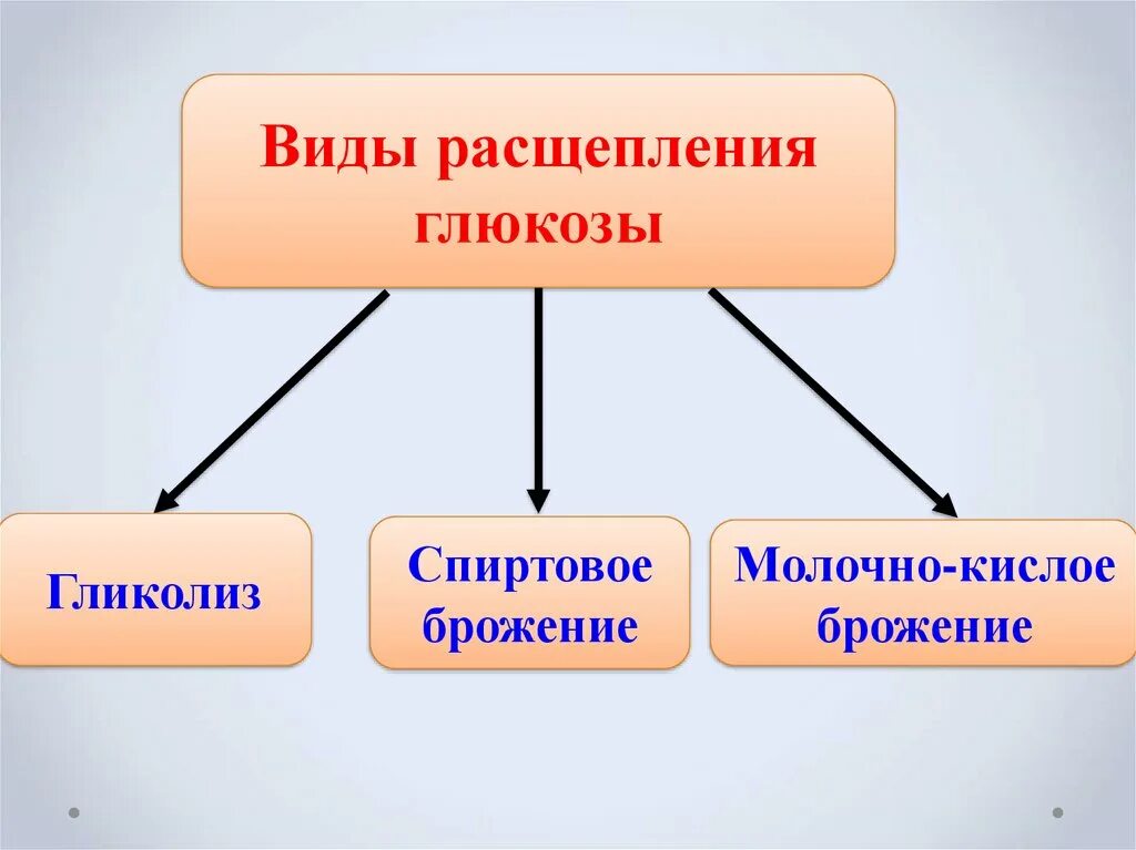Расщепление глюкозы происходит в клетках. Виды расщепления глюкозы. типы расщепления глюкозы. расщепление сахара. энергетический обмен схема егэ.