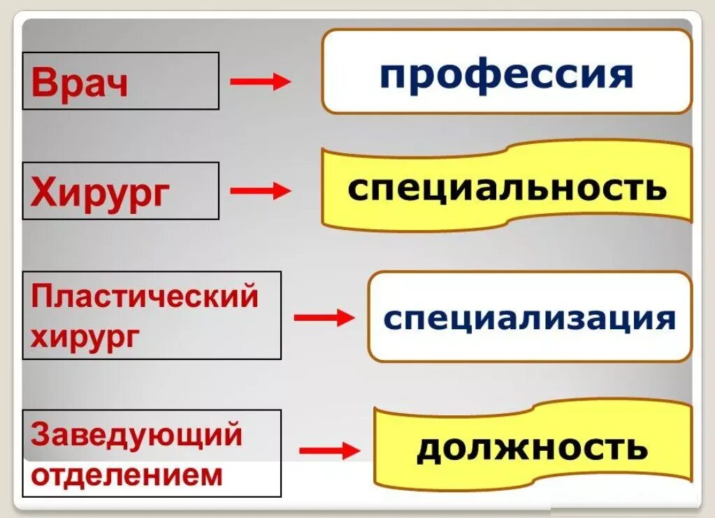Чем отличается специализация. Профессия специальность специализация должность. профессия специальность квалификация должность. профессия, специализация, специальность, квалификация. профессия специальность разница.