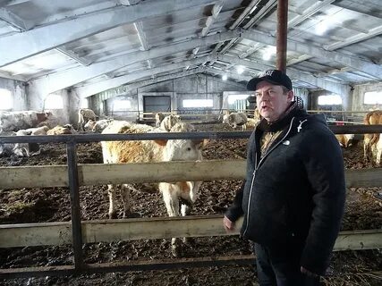 Ройгас шаховская