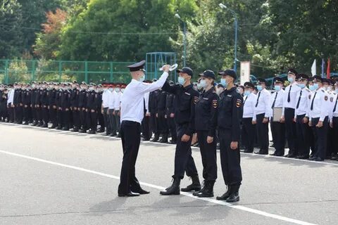 Бюи белгород
