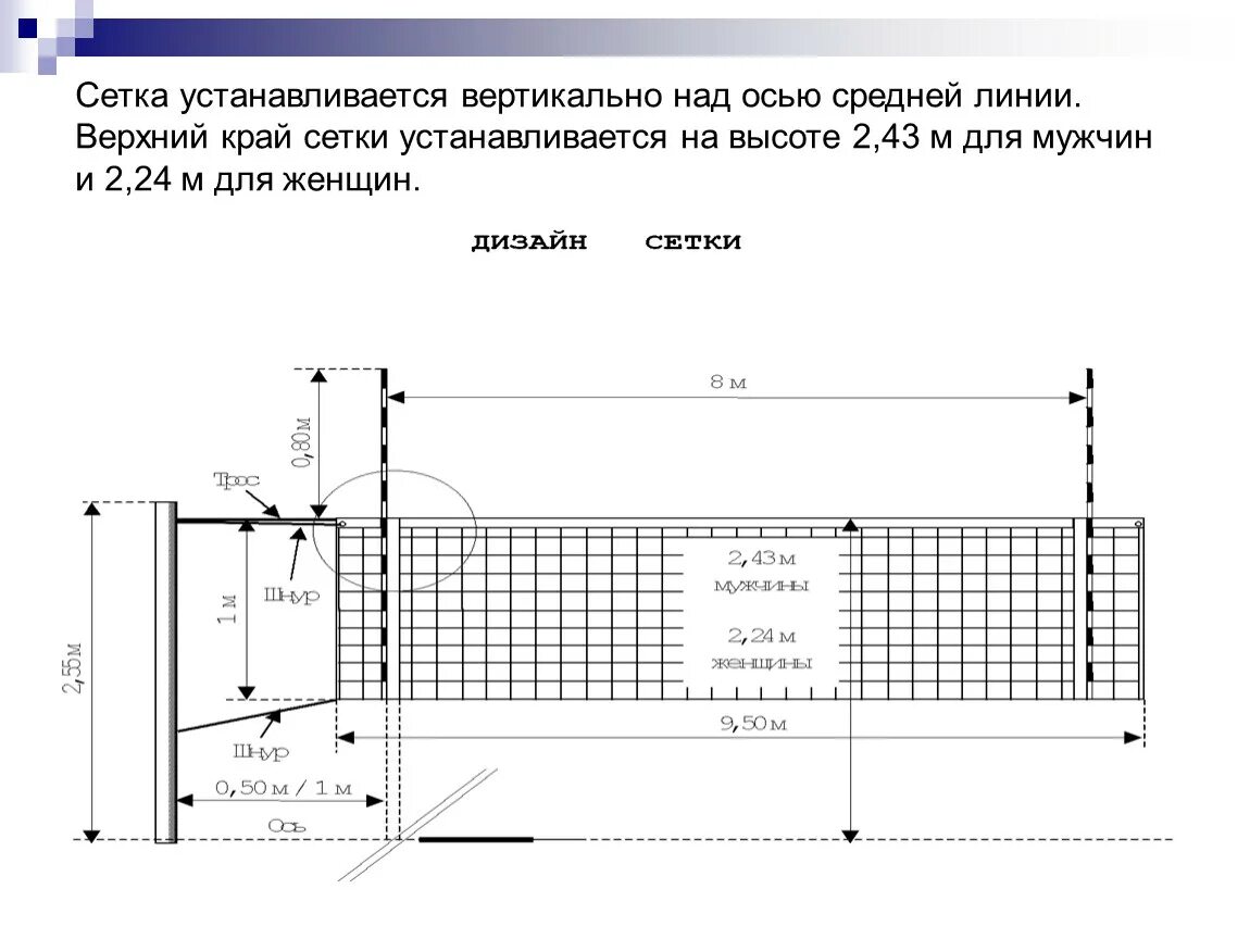 Волейбол сетка схема. Стандарт мужской сетки в волейболе. Ширина волейбольной сетки стандарт. Стойка волейбольной сетки высота. Сколько высотой волейбольная сетка