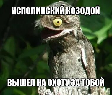 Слова исполинский