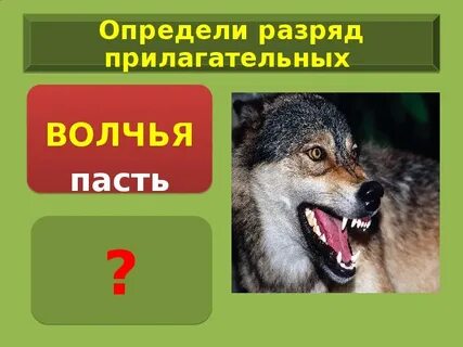 Падет что значит
