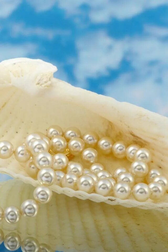 красивые высказывания о жемчуге. стихи о жемчуге и женщине. парагоны жемчуг. жемчуг доклад. сообщение о жемчуге.