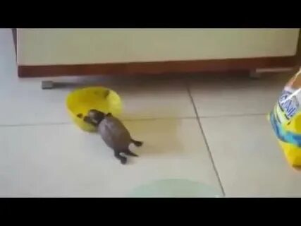 Пока никто не видит видео