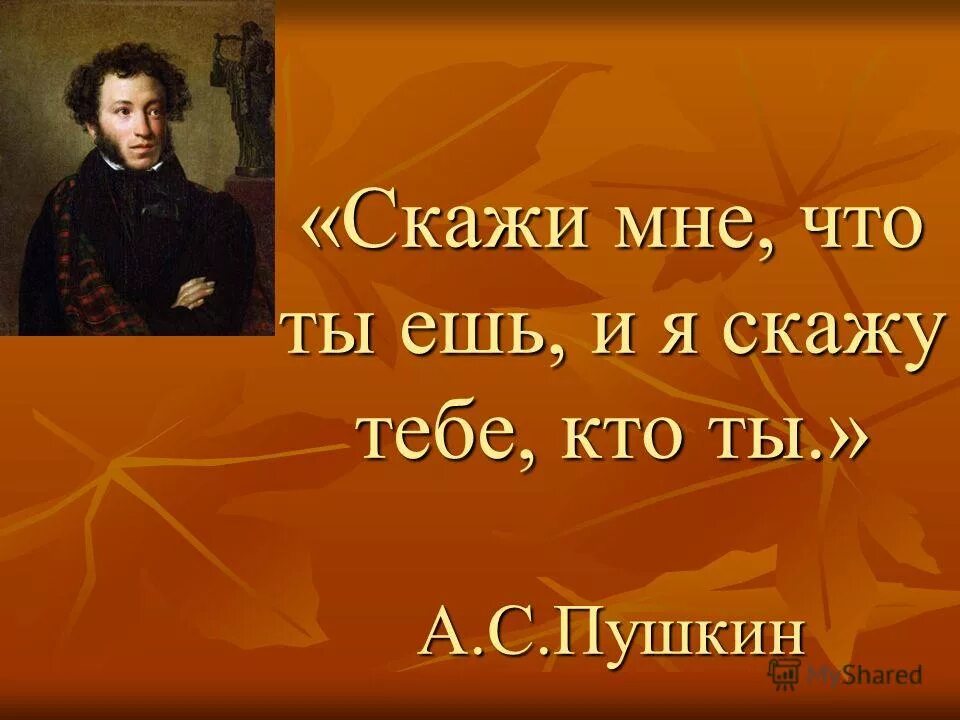 чтение - вот лучшее учение следовать за мыслями. чтение вот лучшее учение. следовать за мыслями великого человека есть. чтение - вот лучшее учение следовать за мыслями. проект мой любимый поэт.