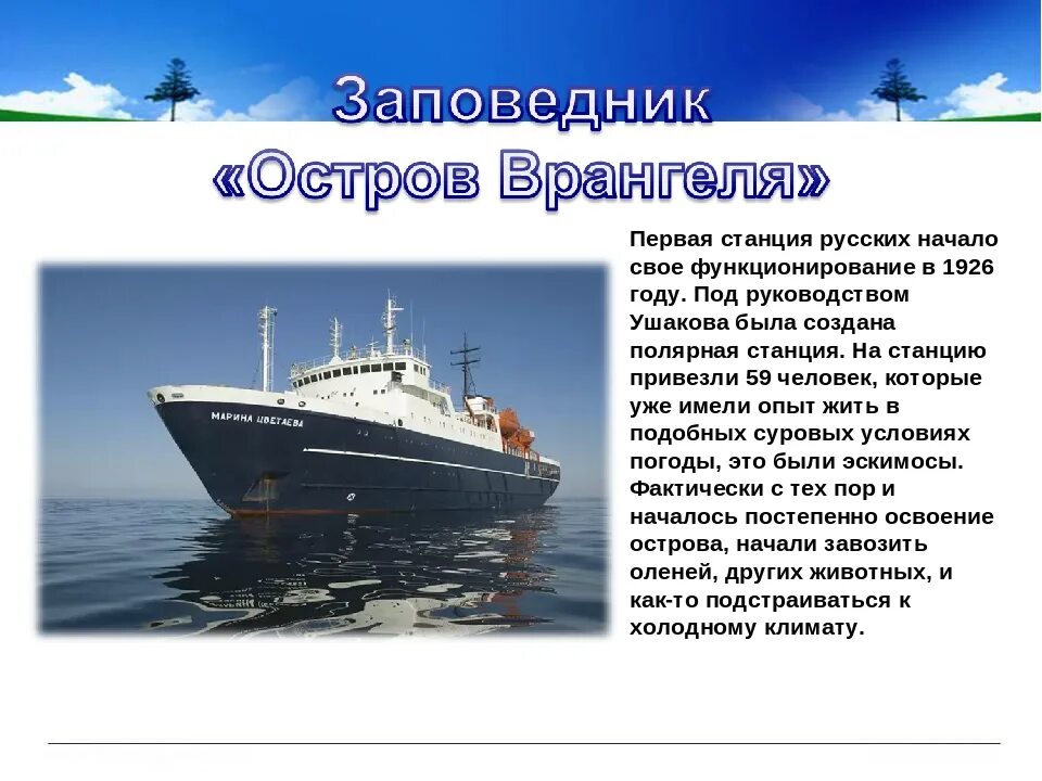 Остров врангеля 2 класс окружающий. Полярная станция остров врангеля. остров врангеля сообщение. остров врангеля 4 класс окружающий мир. сообщение о заповеднике остров врангеля.