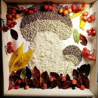 Коллаж из природных материалов