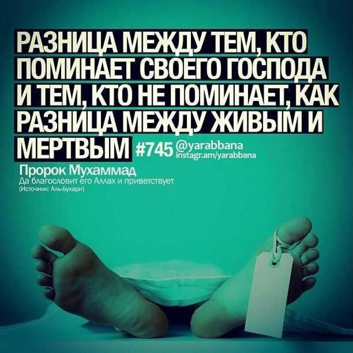 Что такое хадисы в исламе. Ислам хадисы. хадисы со смыслом. мусульманские хадисы. хадисы в картинках.
