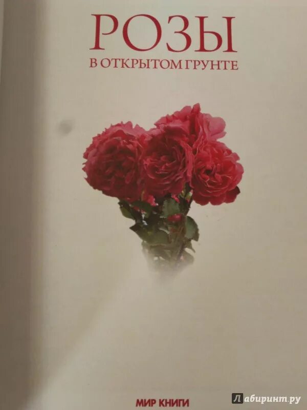 Книга с розой на обложке. Садовые розы книги. Энциклопедия роз книга. Розовая книга читать