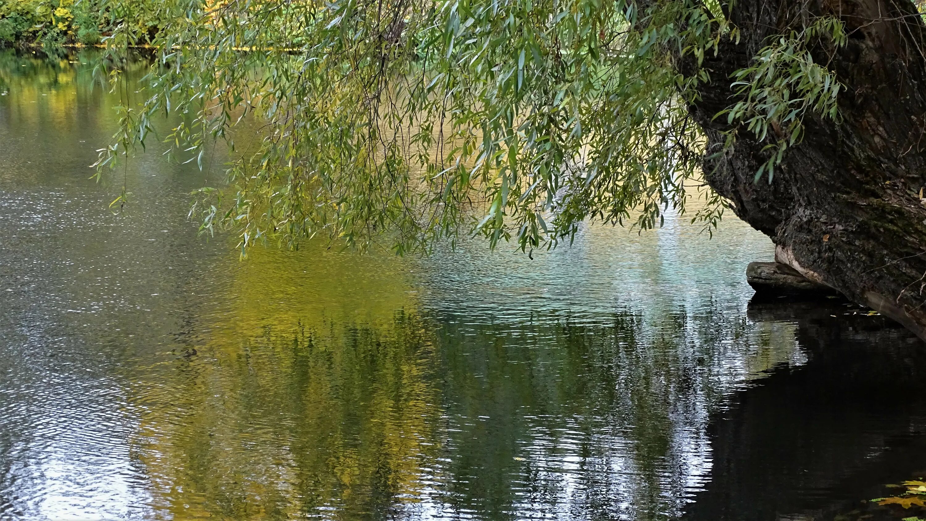 Склониться к воде