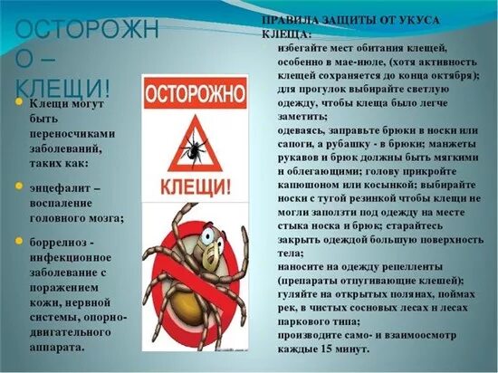 Обж клещи. Осторожно клещи. Надпись осторожно клещи. Будьте осторожны клещи. Правила защиты от клещей для детей.