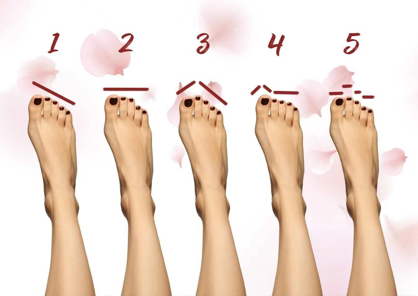 Форма пальцев стопы. Тип человека по пальцам ног. Характер по пальцам ног. Форма расположения пальцев на ногах. Нормальная форма пальцев на ногах.