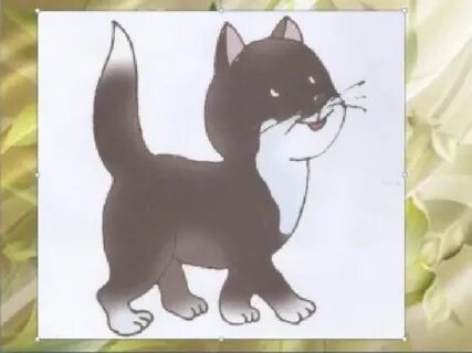 Әйелдер трусисыз сурет