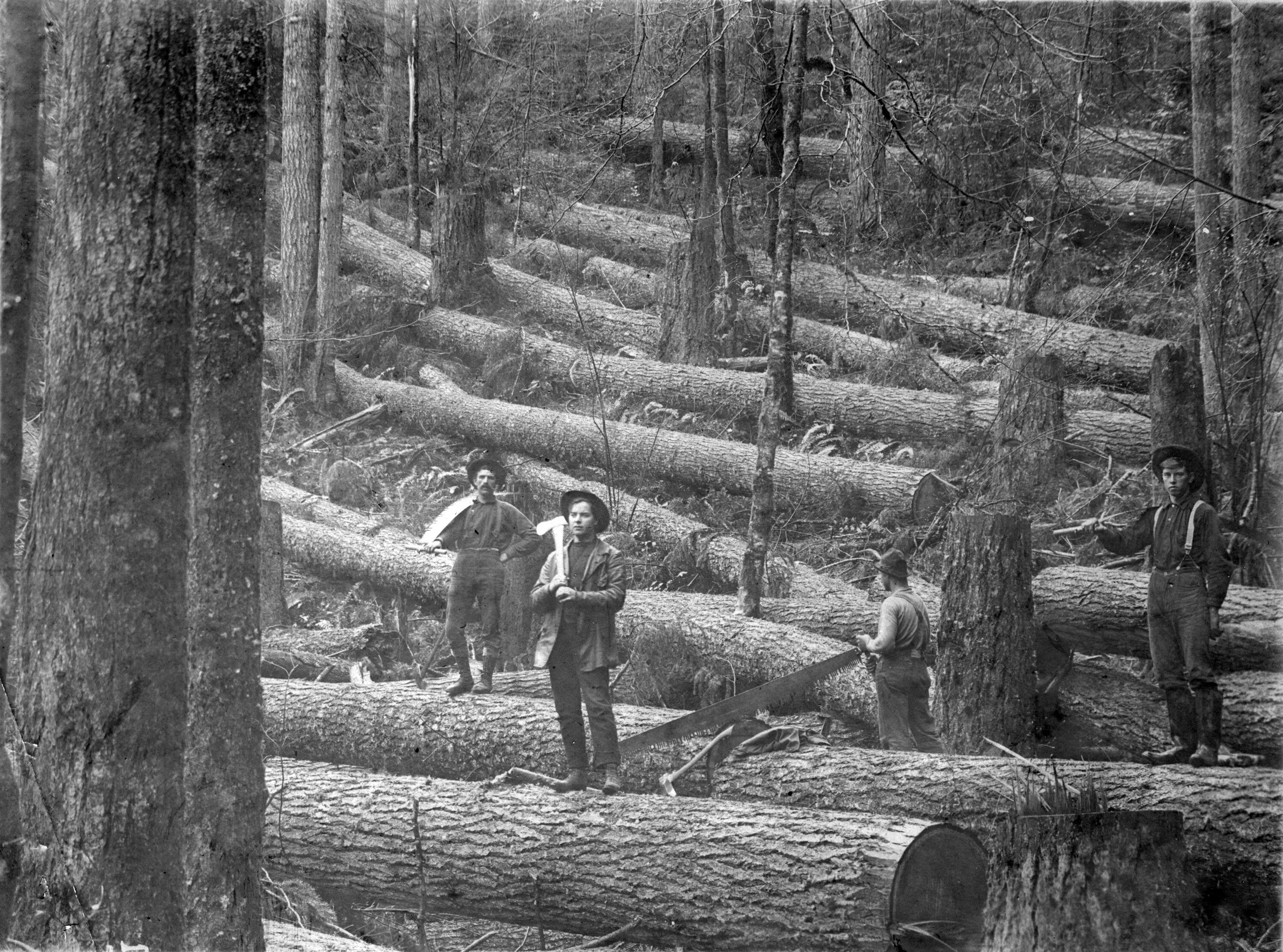 Commons logging. Лесоруб в древности. Лесоруб 19 век. Древние лесорубы. Советские лесорубы.