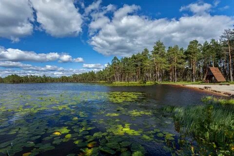 Озерах фото
