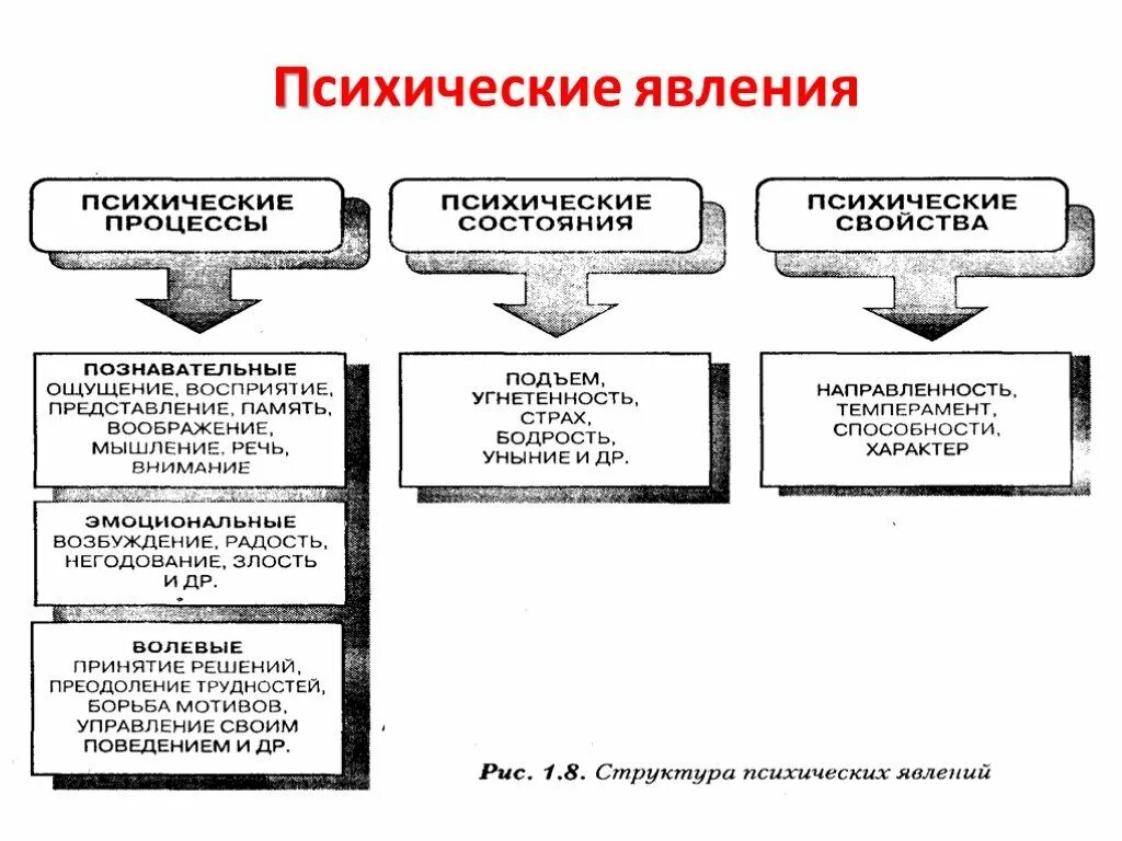 Процесс управления человеком собственными психологическими. Структура психики психические процессы психические состояния. структура психологических явлений в психологии. классификация психических процессов схема. психические явления структура психических явлений.