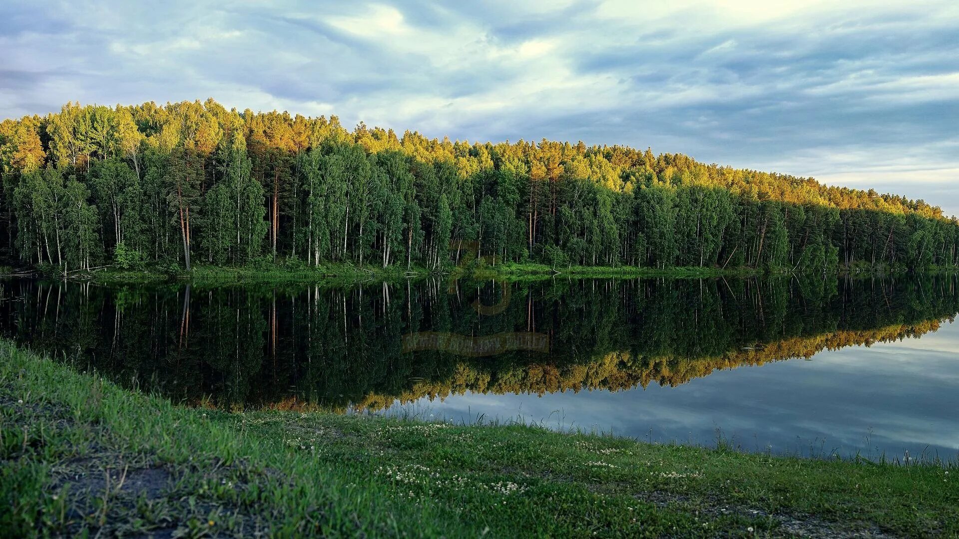 Сибирь Тюмень природа. Природа Тюменского района. Тайга Тюменской области. Тюменский район лес.