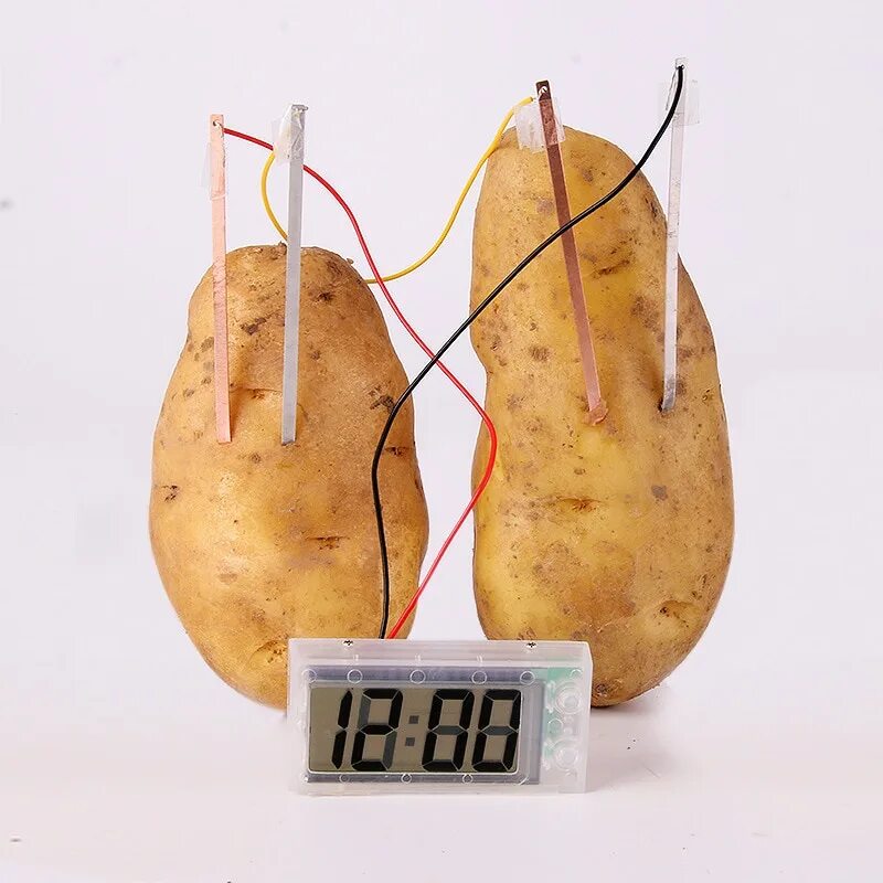 Potato clock. Картофельные часы. часы на картошке. часы из картошки. часы potato.