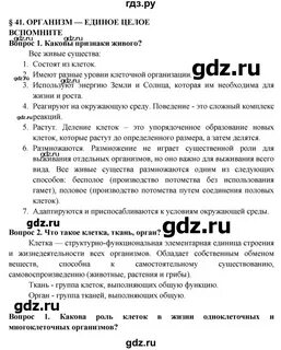 Параграф 41 6 класс