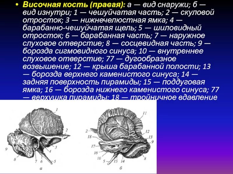 Изменения височной кости