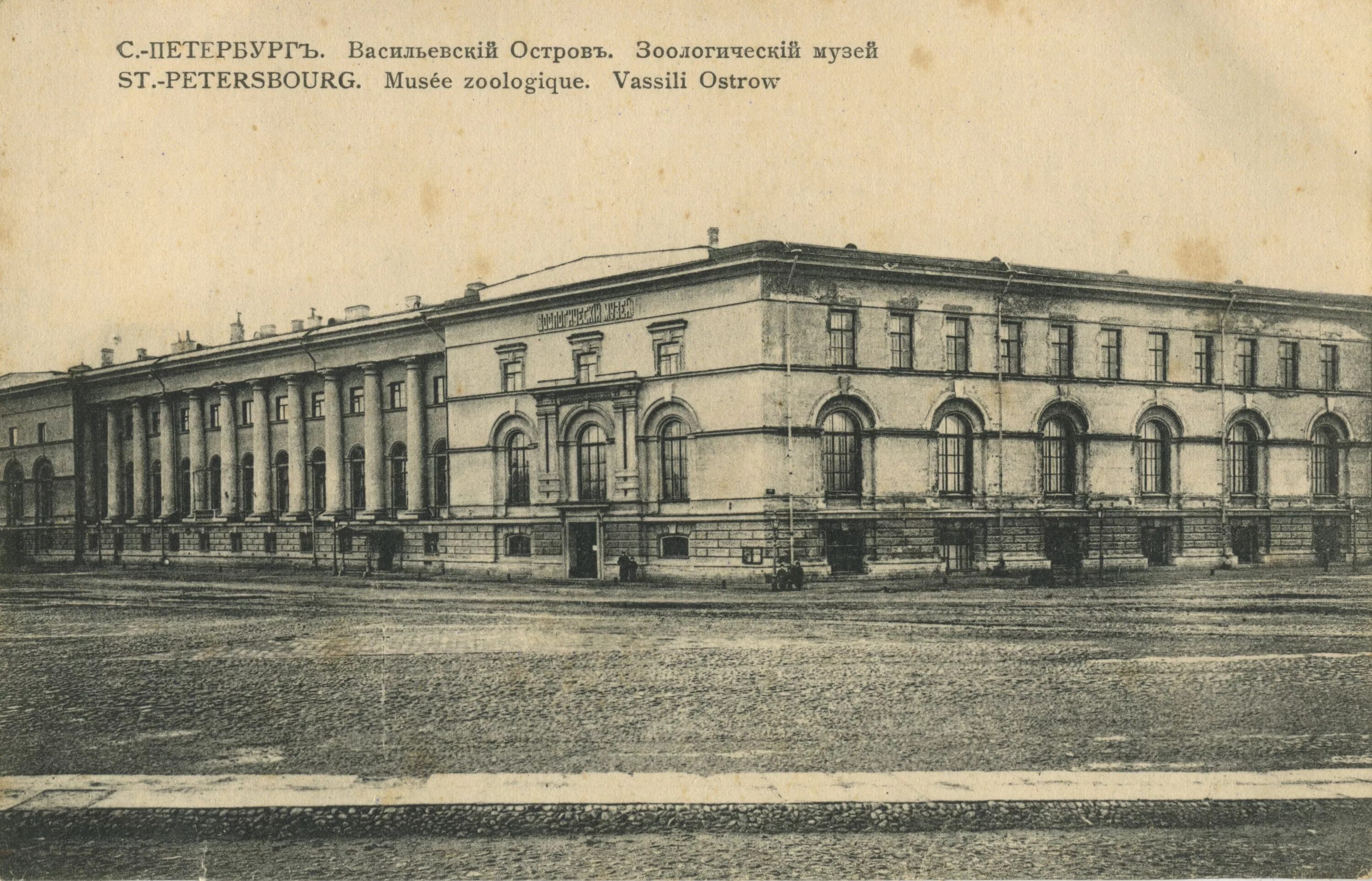 Васильевский остров 19 20 века. Васильевский остров Зоологический музей. Зоологический музей Санкт-Петербург на Васильевском острове. Васильевский остров 19 век. Музеи в начале 20 века