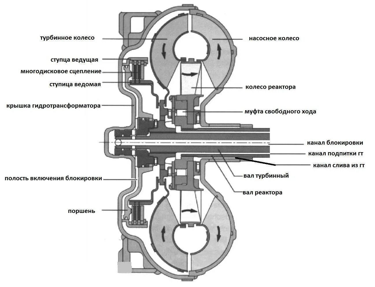 Устройство гидромуфты. Гидротрансформатор коробки передач схема. Кинематическая схема гидротрансформатора. Муфта блокировки гидротрансформатора АКПП. Гидротрансформатор устройство схема.