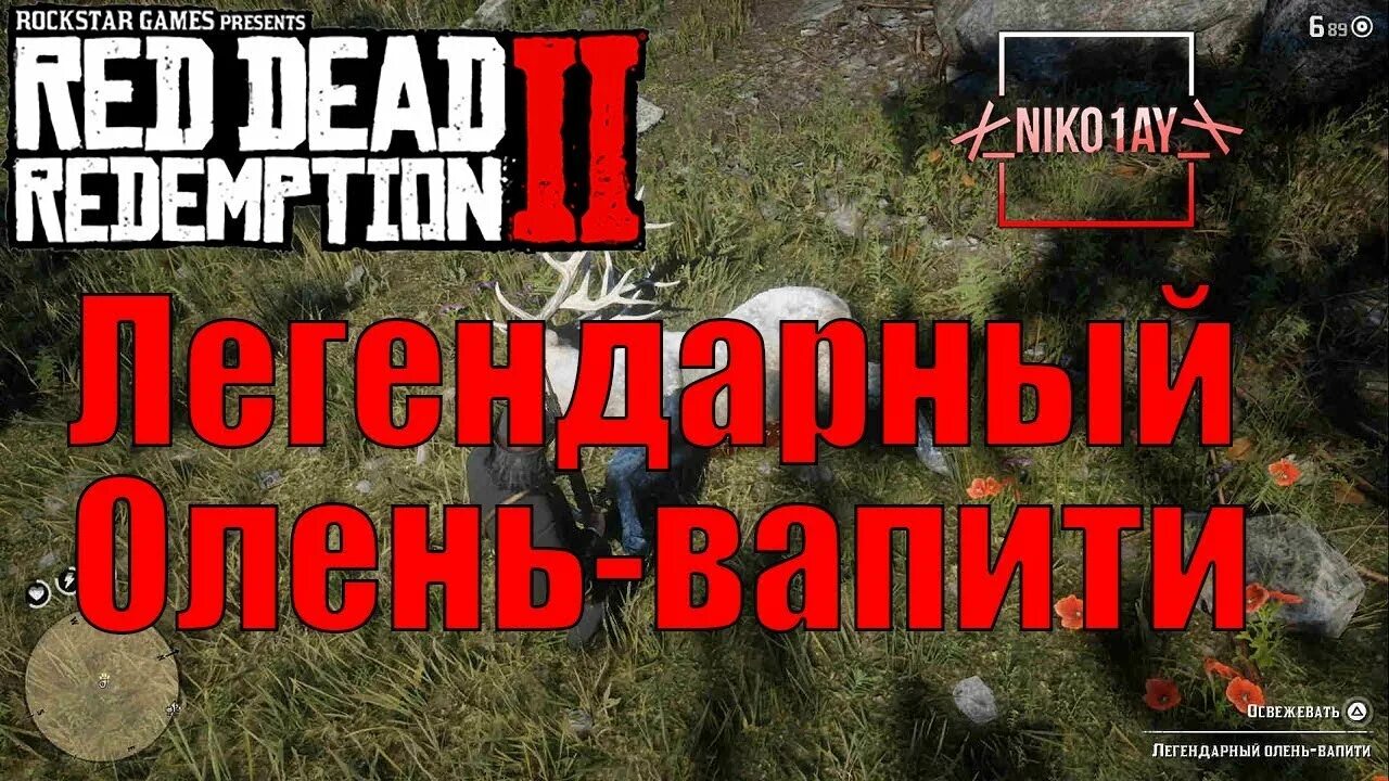 Олень вапити в рдр. Легендарный вапити rdr2. Легендарный вапити в РДР 2. Ред дед редемпшен 2 легендарный олень. Легендарный олень rdr2.