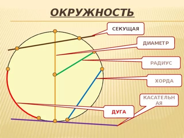 Окружность радиус диаметр хорда дуга. Окружность круг радиус диаметр хорда дуга. Окружность радиус хорда диаметр круг. Что такое центр радиус хорда и диаметр окружности. Изобразить окружность центр радиус диаметр хорда