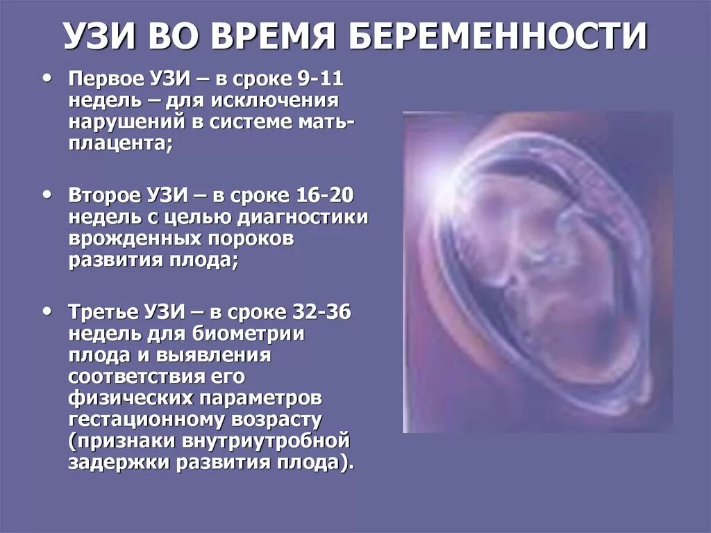Узи при беременности сколько раз. Скрининг УЗИ при беременности сроки. УЗИ беременных сроки проведения. УЗИ скрининг беременных сроки проведения. УЗИ скрининг во время беременности сроки.