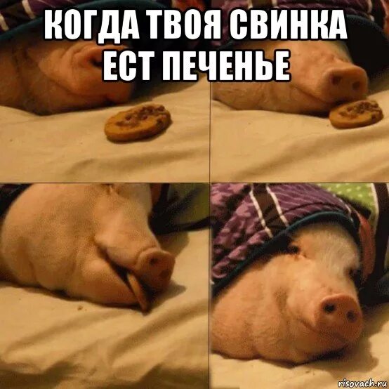 Ты зовешь его печенькой фф