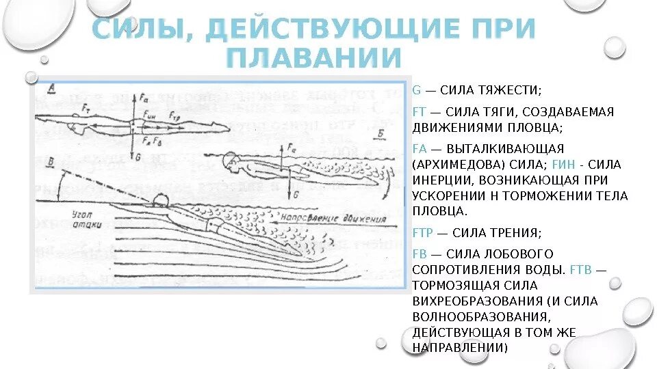 Продвигающая сила. Силы действующие при плавании. Гидродинамика в плавании. Силы действующие на пловца. Двигательные действия в плавании.