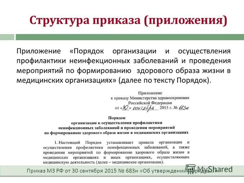 Приказ от 1 июля 2013 499. Приказ о структуре организации. Структура приказа МЗ РФ. Приложение к приказу. Приказ о структуре медицинского учреждения.