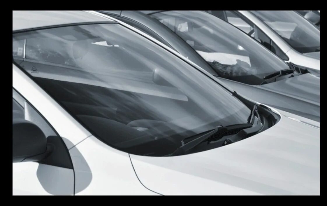 Windscreen