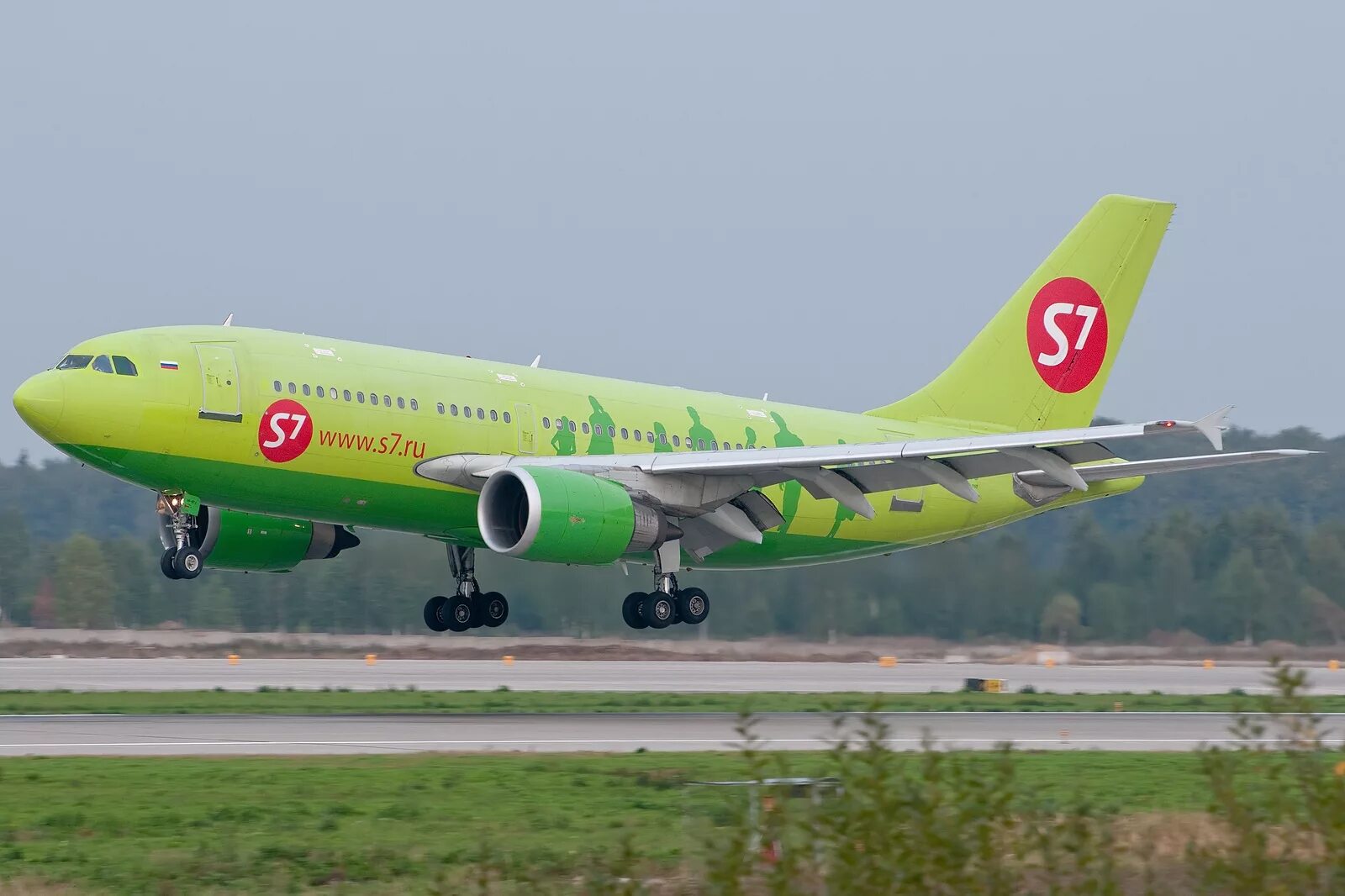 Авиакомпания сибирь s7 airlines. Аэробус а310 с7. A310 s7. Airbus a310 s7 Airlines. Airbus a310-304.