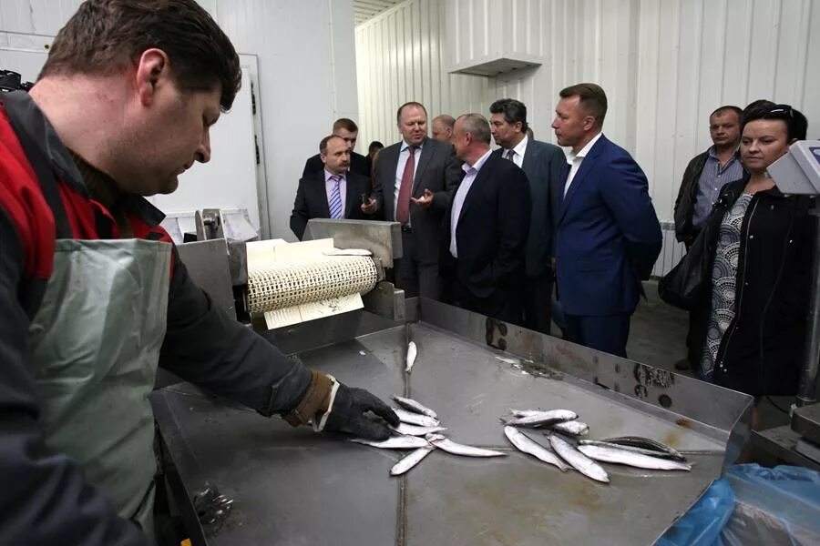 берег отзывы сотрудников