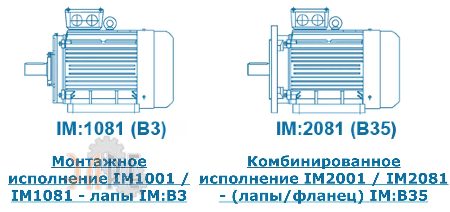 Im двигателей. Монтажное исполнение электродвигателей 2081. Im1011 монтажное исполнение электродвигателя. Im2001 монтажное исполнение электродвигателя. Монтажное исполнение электродвигателя im b34.