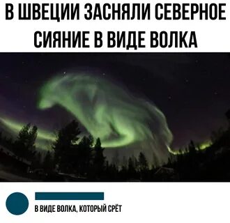 С днем северного сияния в холодильнике картинки